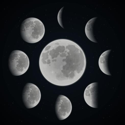 Moon phase set vector