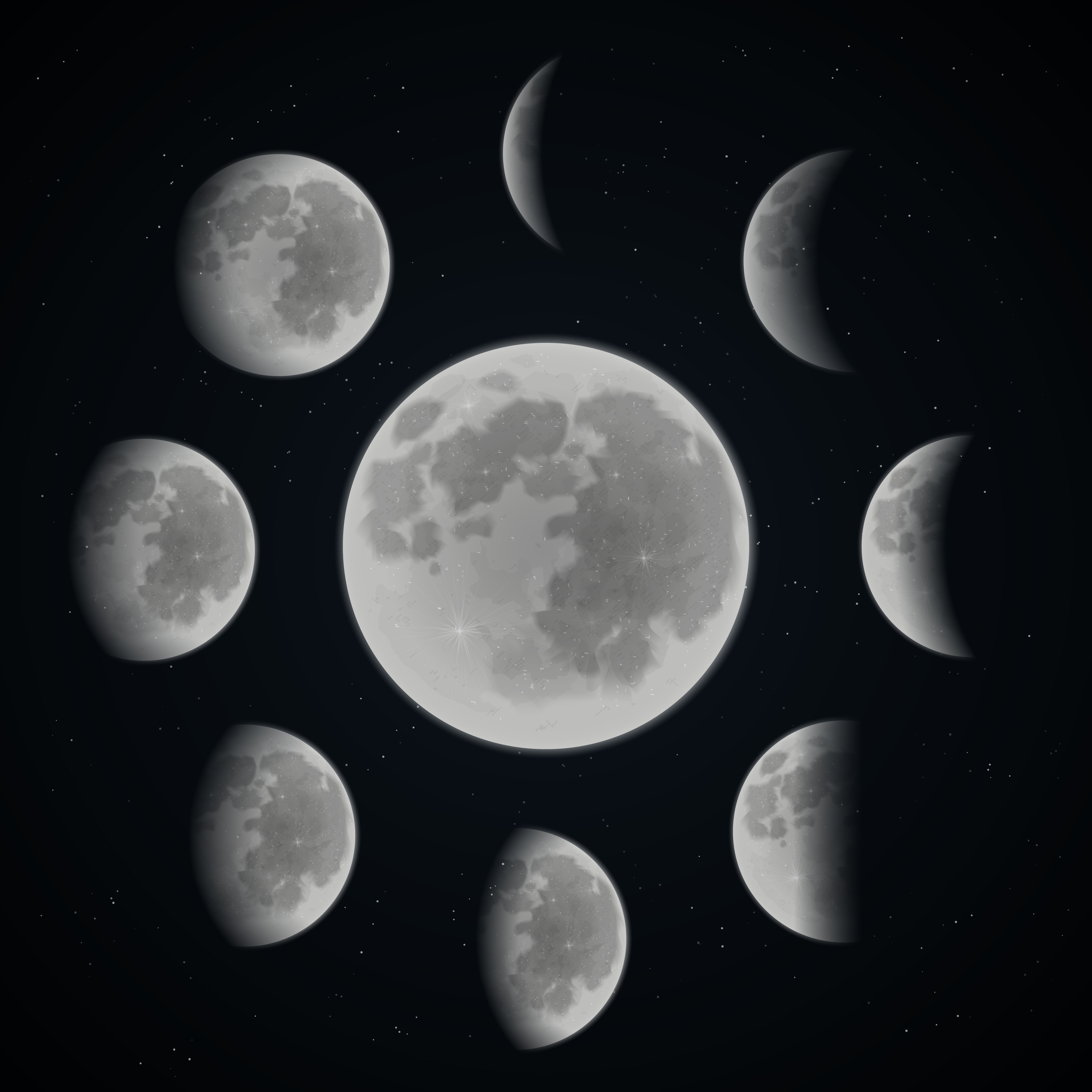 Moon phase set 467586 - Download Free Vectors, Clipart Graphics