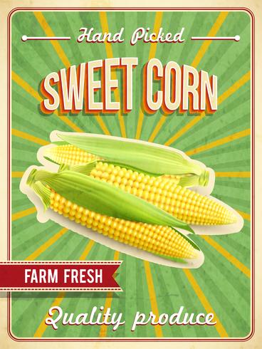 Sweet Corn Poster  vector