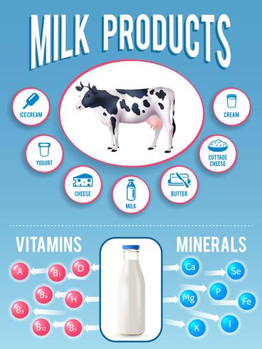 Set de infografías de leche vector