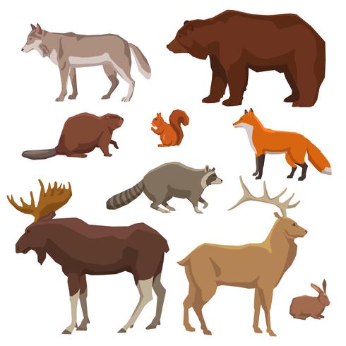 Wild Animal Painted Icon Set vector