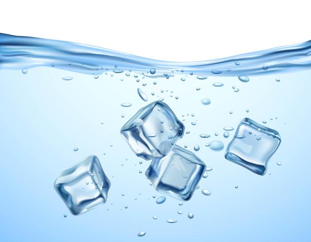 Ice Cubes In Water vector