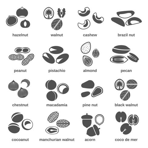 Nut Icons Black vector