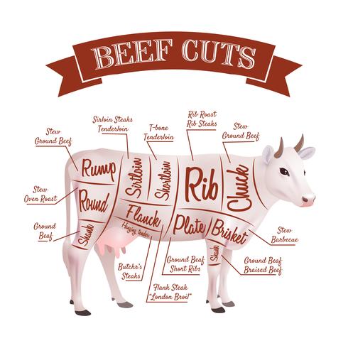 Beef Cuts Illustration vector