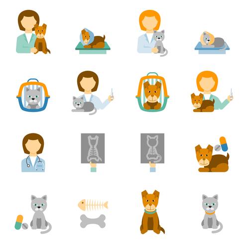 Veterinary clinic practice flat icons set vector