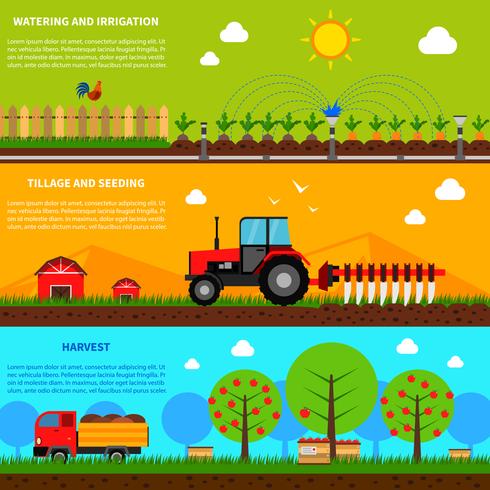 Conjunto de Banners de Agricultura vector