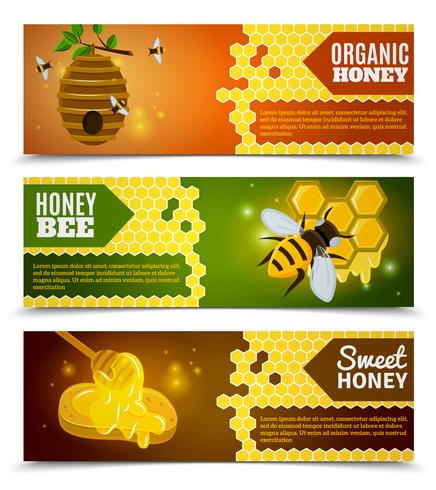 Conjunto de Banners de miel vector