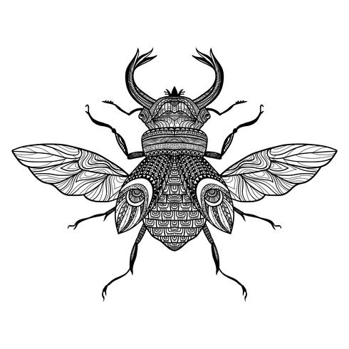 Sketch Decorative Bug vector