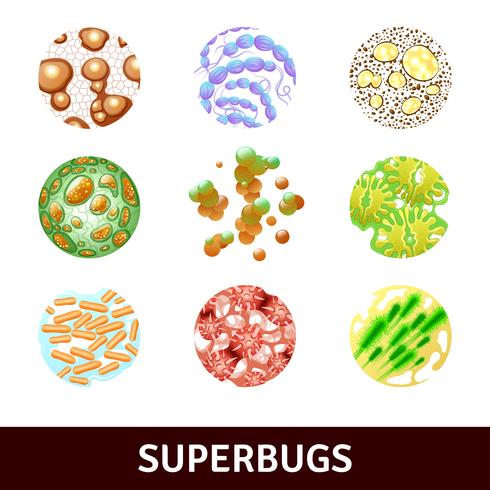  Superbugs Realistic Set vector