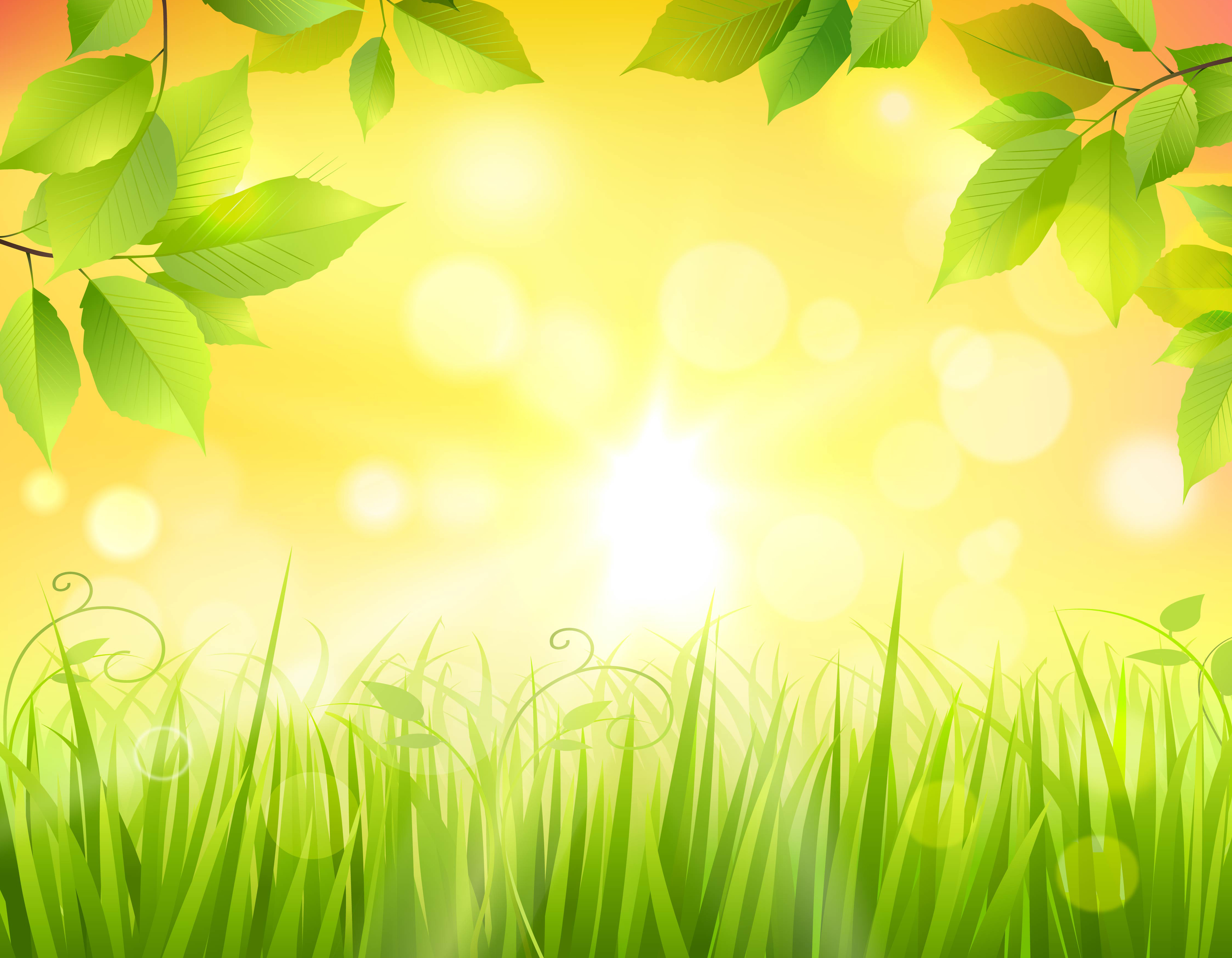 Sunrise In Forest 468943 Vector Art at Vecteezy