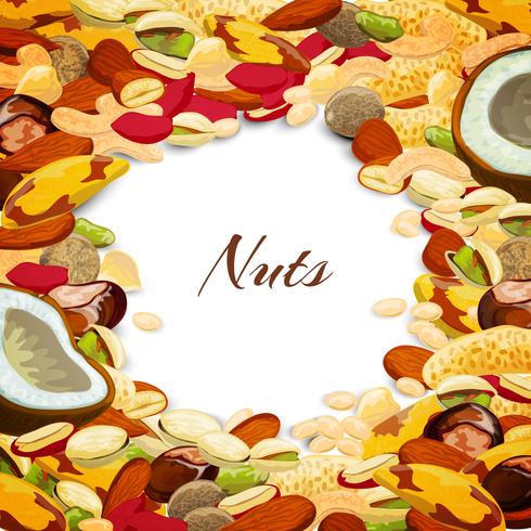 Nuts Mix Background vector