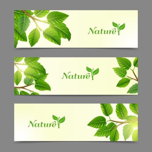 Green leaves eco banners set vector
