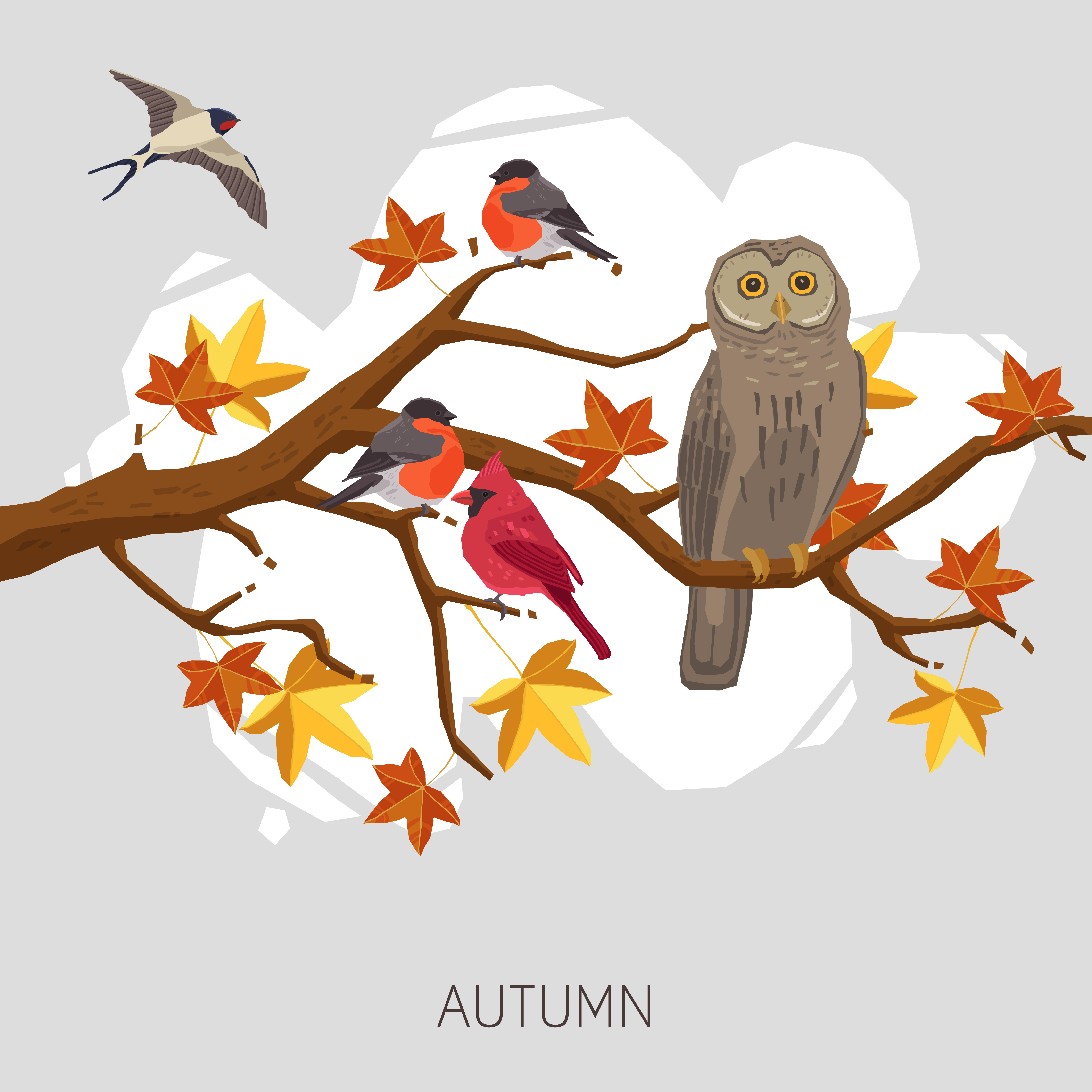 Birds in a tree clipart