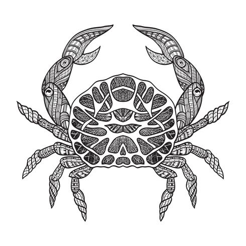 Doodle sketch crab black line vector