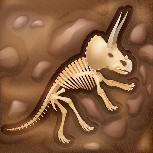 Dinasaur bones fossil illustration picture vector