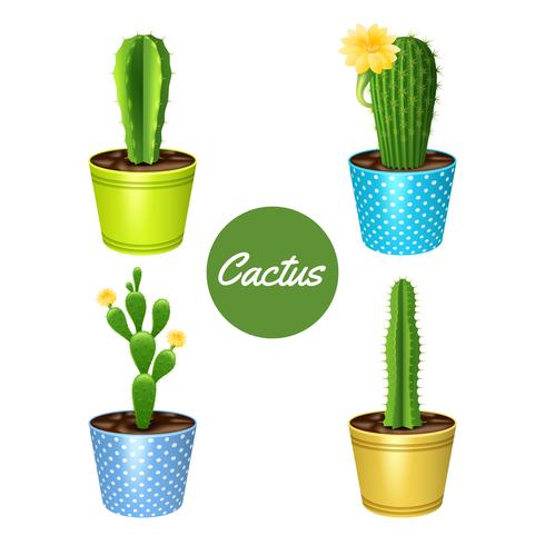 Conjunto De Cactus En Macetas vector