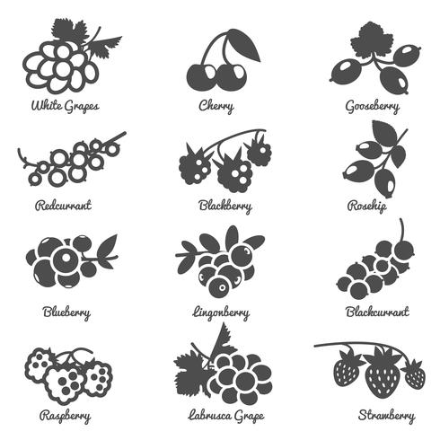 Berries Flat Icons Set vector