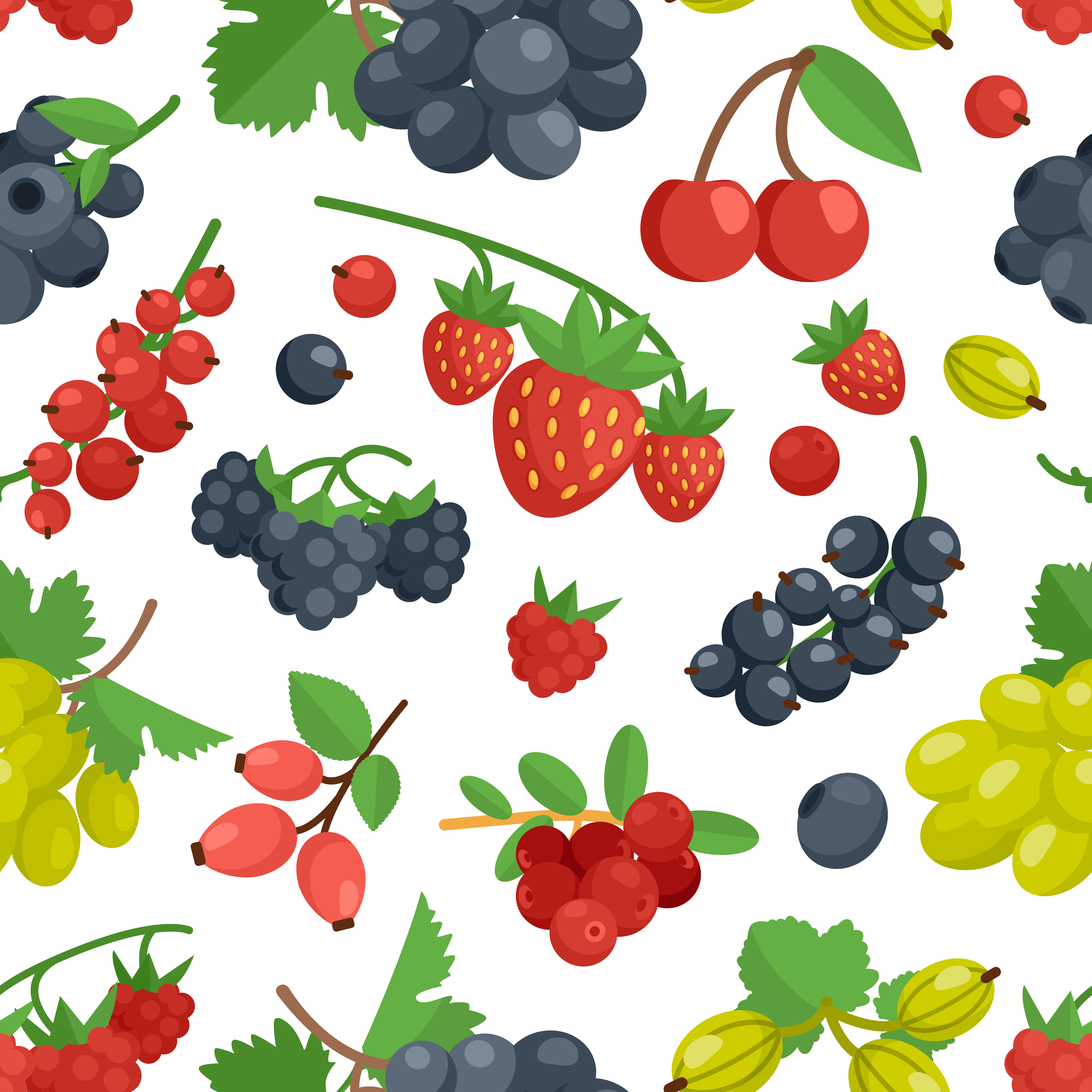 Berries Color Seamless Ornament 469674 Vector Art at Vecteezy