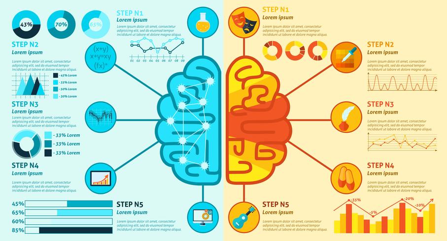 Left And Right Brain Infographics vector