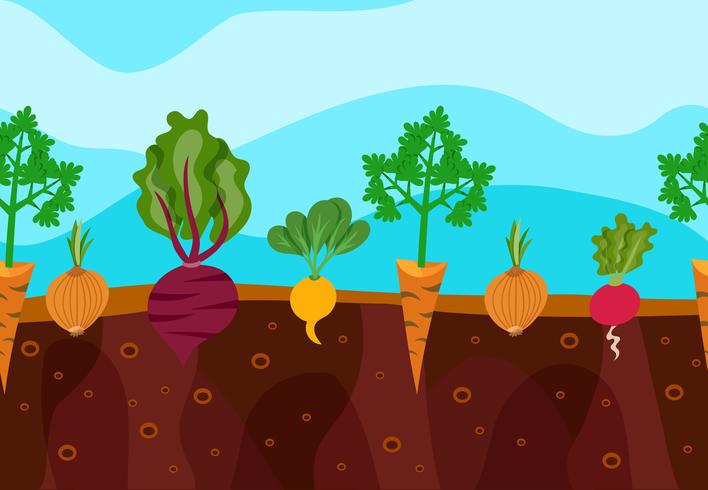 Ilustración de verduras en crecimiento vector