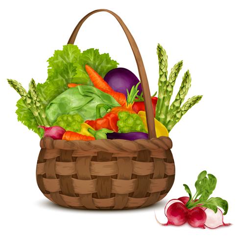 Vegetables in basket vector