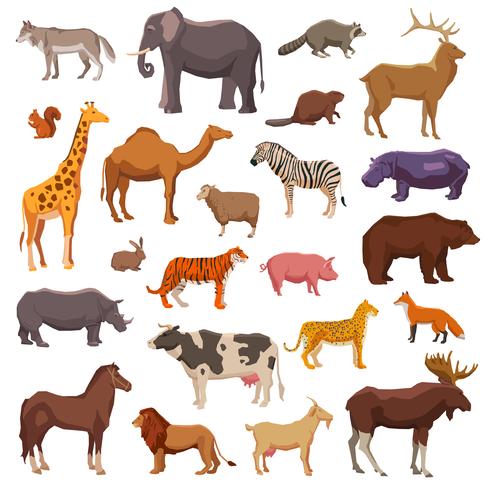 Conjunto de animales grandes vector