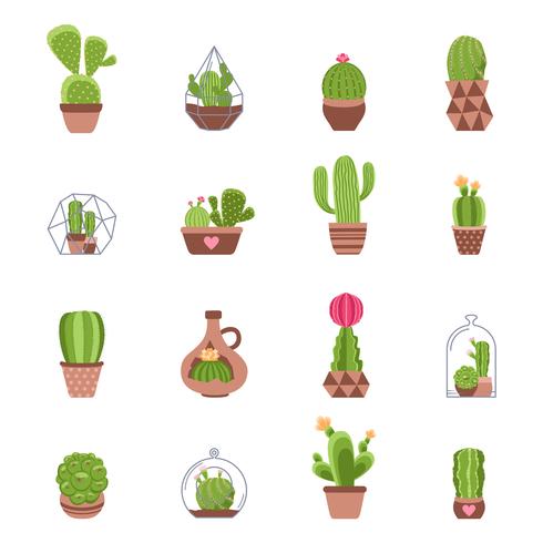 Cactus Icons Set vector