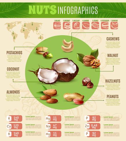 Realistic Nuts Infographics vector
