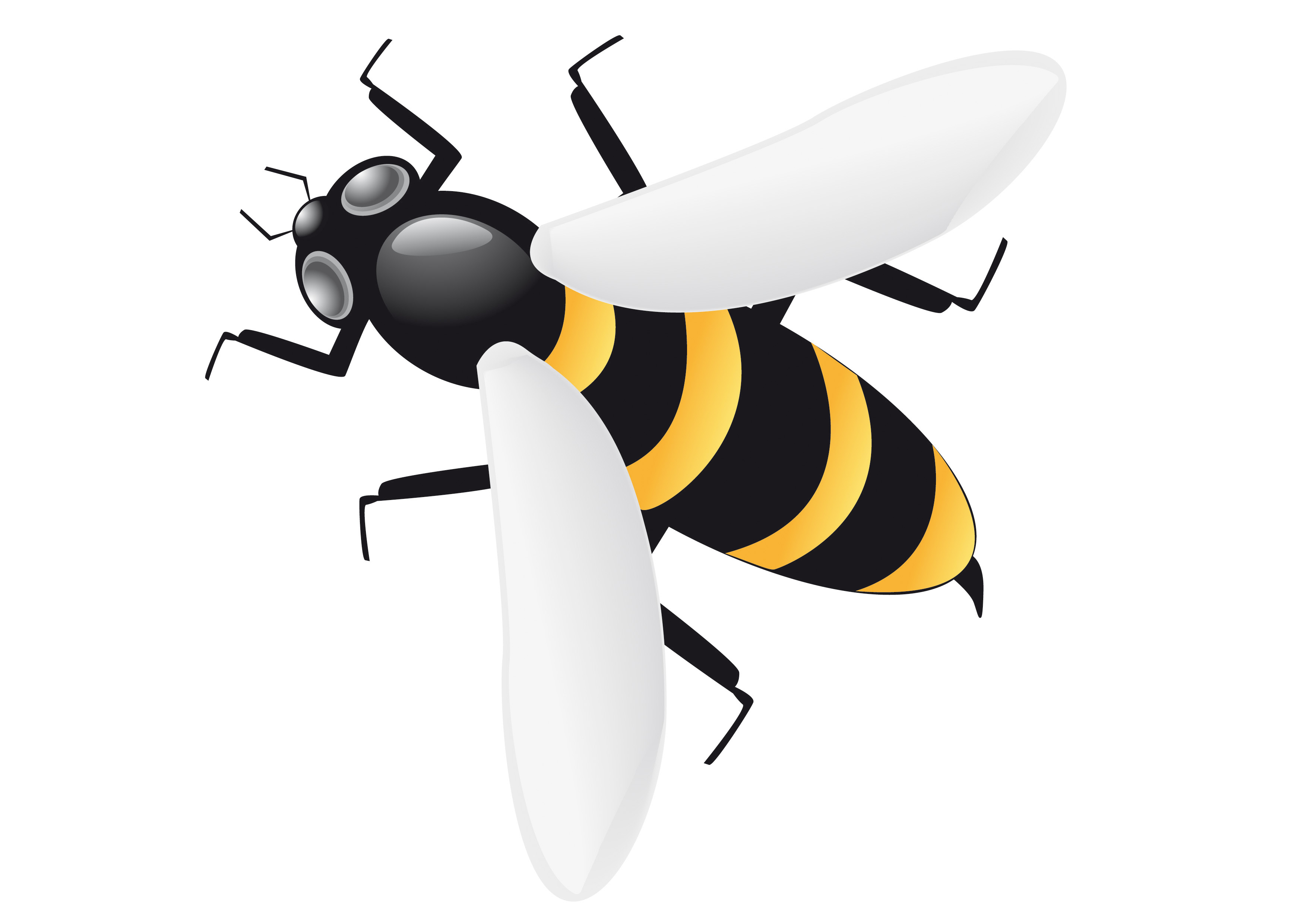 bee - Download Free Vectors, Clipart Graphics & Vector Art