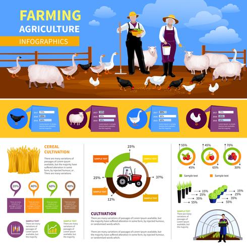 Infografía plana agrícola vector