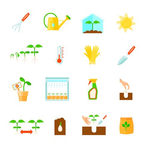 Seedling Icons Set vector