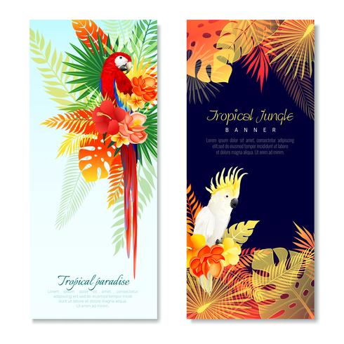 Banners verticales de loros tropicales vector