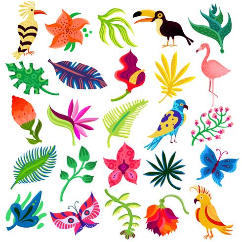 Flora y fauna troípica vector