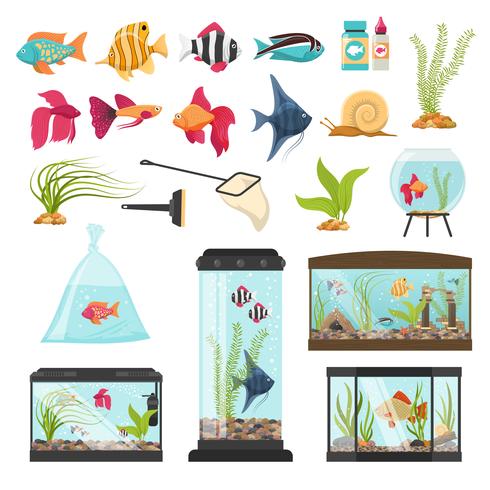 Aquarium Essential Elements Collection vector