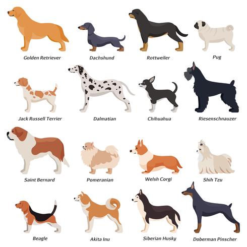 Perfil de conjunto de iconos de perros vector