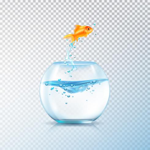 Boiling Fish Aquarium Composition vector