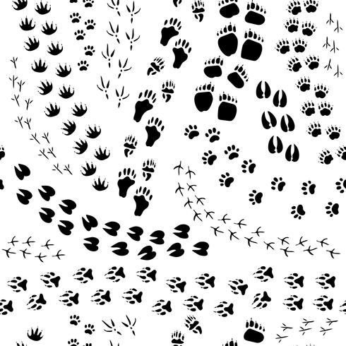 Animal Track Seamless Pattern vector