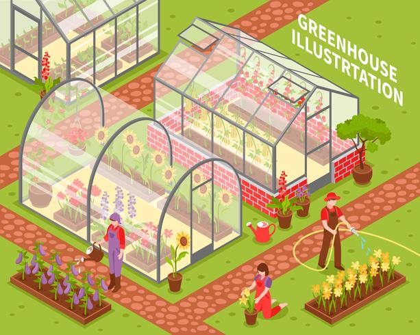 Colored Greenhouse Composition vector