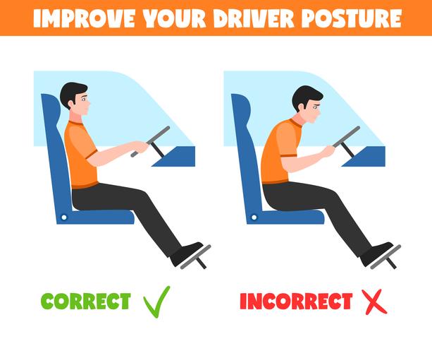 Spine Postures For Driver Illustration vector