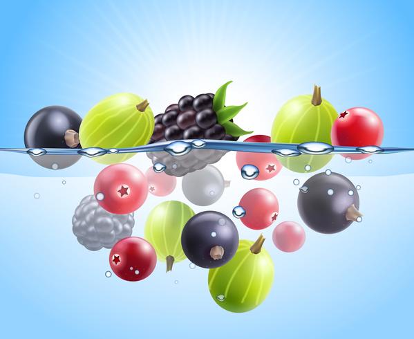 Realistic Colorful Berries Background vector