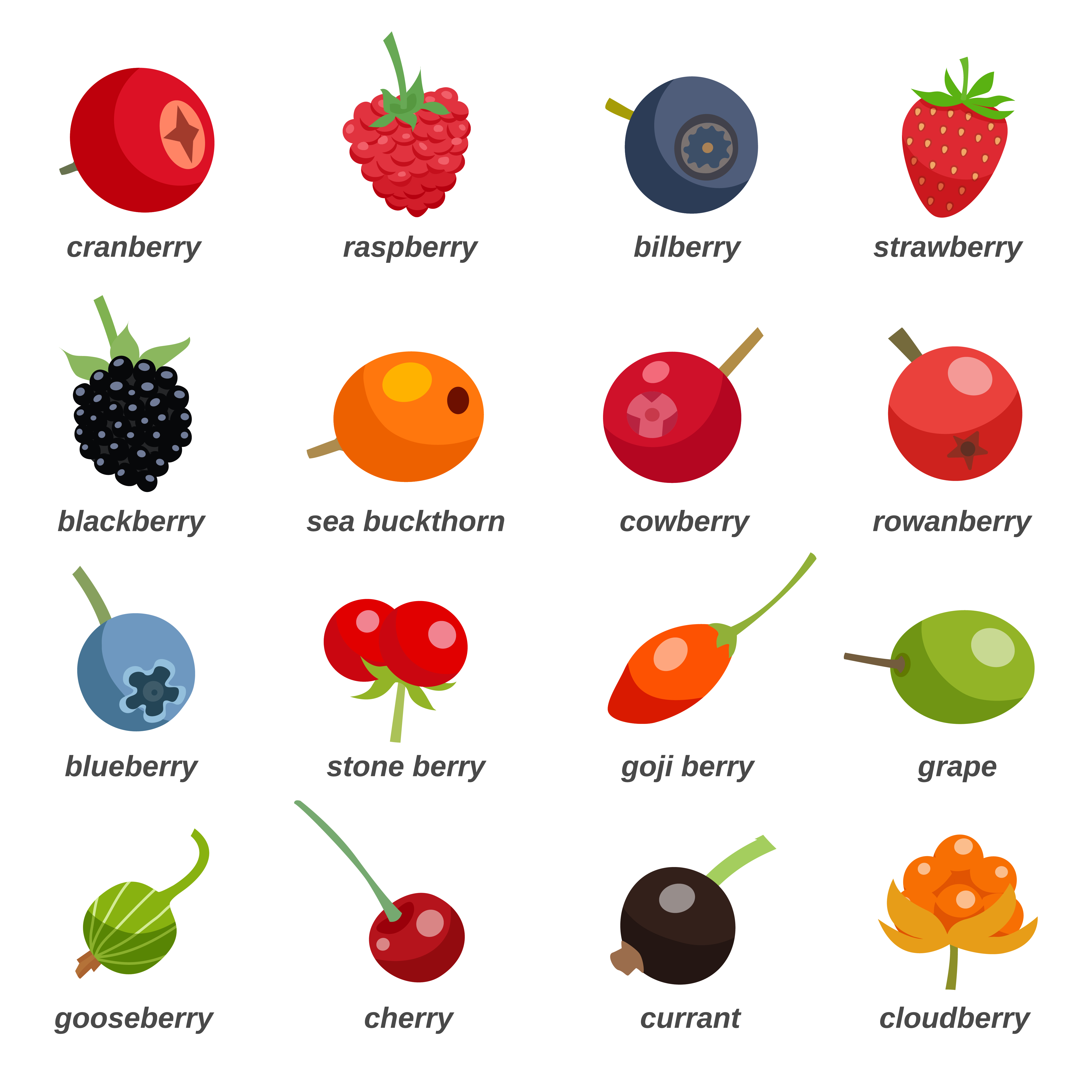 Berries Colored Icons Set With Inscription 471572 Vector Art at Vecteezy