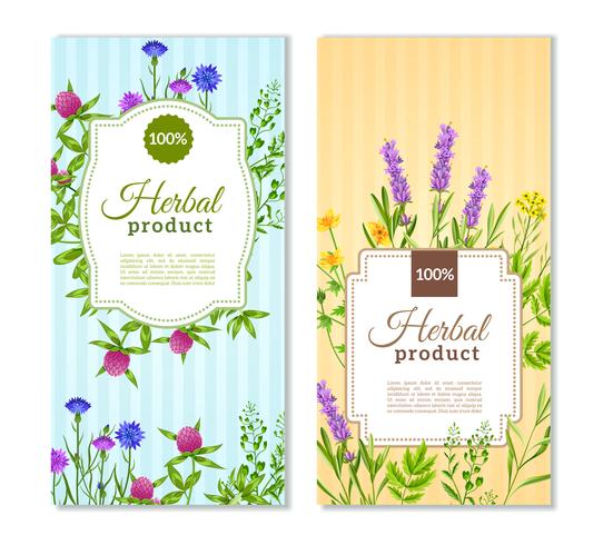 Herbs And Wild Flowers Banners vector