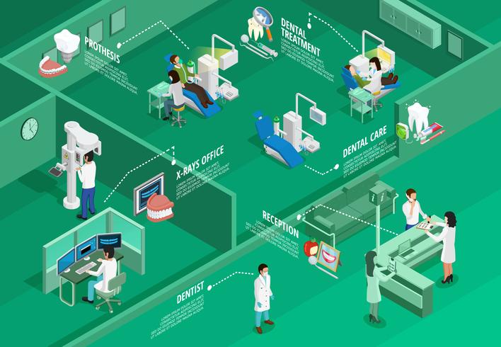 Odontología infografía isométrica vector