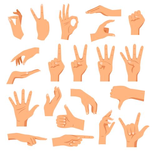 Set Of Hands vector