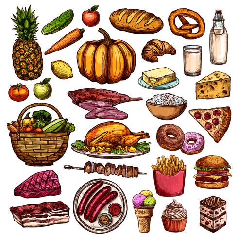 Hand Drawn Food Collection vector