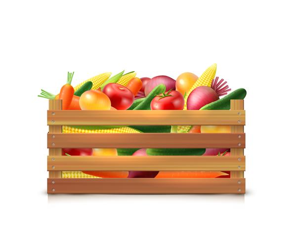 Vegetables Harvest Template  vector