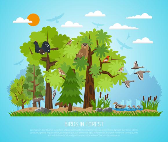 Cartel de las aves en el bosque vector