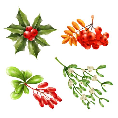 Christmas Berry Branches Set vector