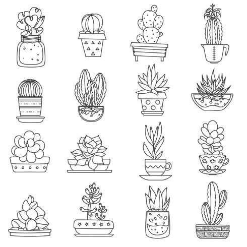 Conjunto de iconos de línea de cactus vector