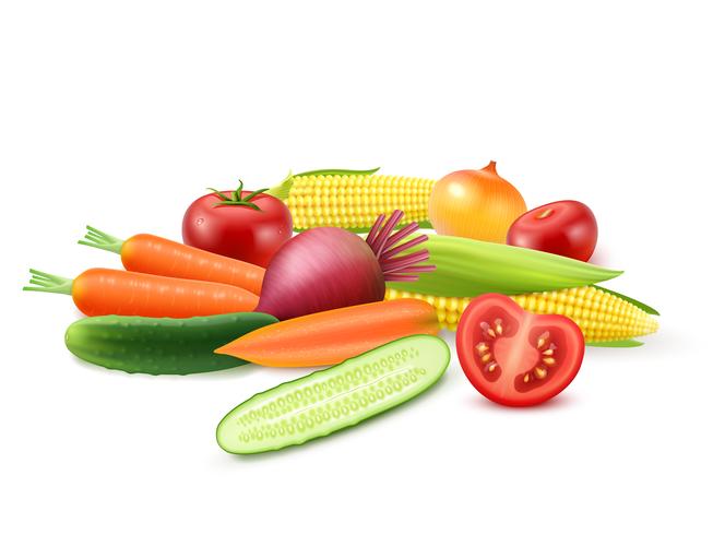 Plantilla de verduras frescas de colores vector